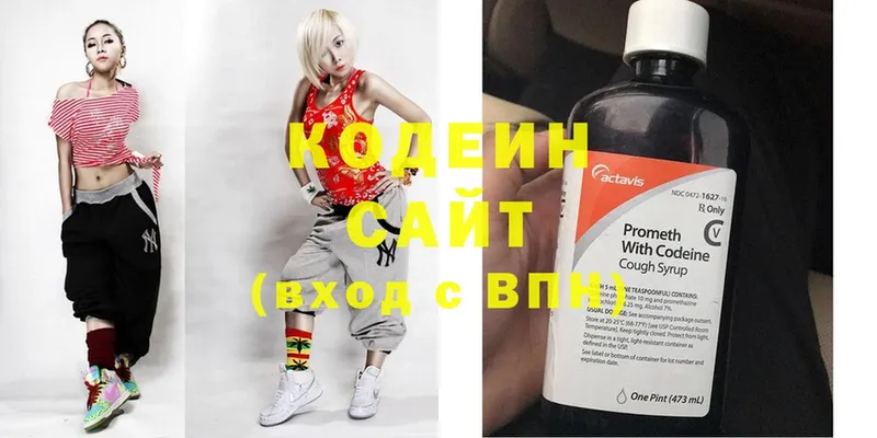 продажа наркотиков  Ишим  Codein Purple Drank 